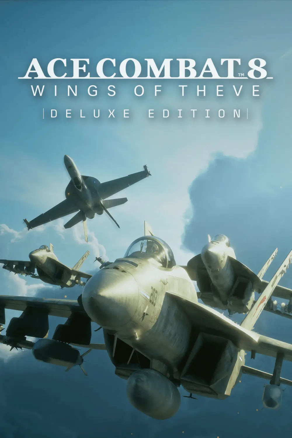Ace Combat 8: Wings of Theve