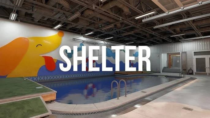 Карта Shelter в Counter-Strike 2